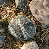 Medium Boulders