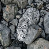 Extra Large Boulders
