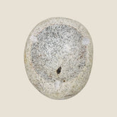 Spotted Eggshell Ash Tray -River Stone