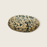 Sunbeam River Stone Soap Dish