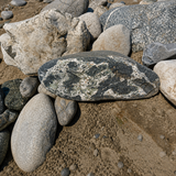 Medium Boulders