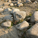 Medium Boulders
