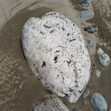 Extra Large Boulders
