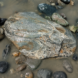 Extra Large Boulders