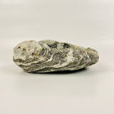 Irregular White Lined Bowl