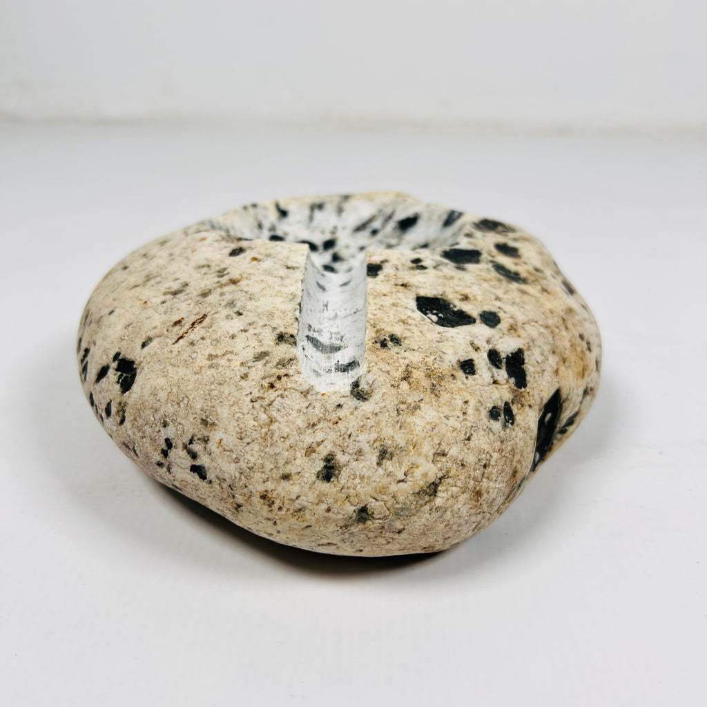 River Stone Dalmatian Ash Tray