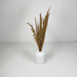 Cylindrical Vase