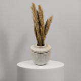 Assorted Vase