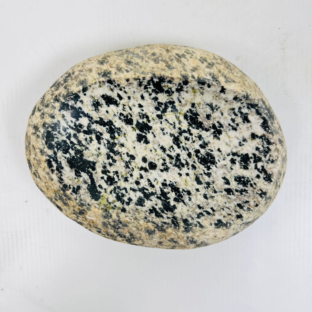 Riverstone Eggshell Polka Dot Soap Dish