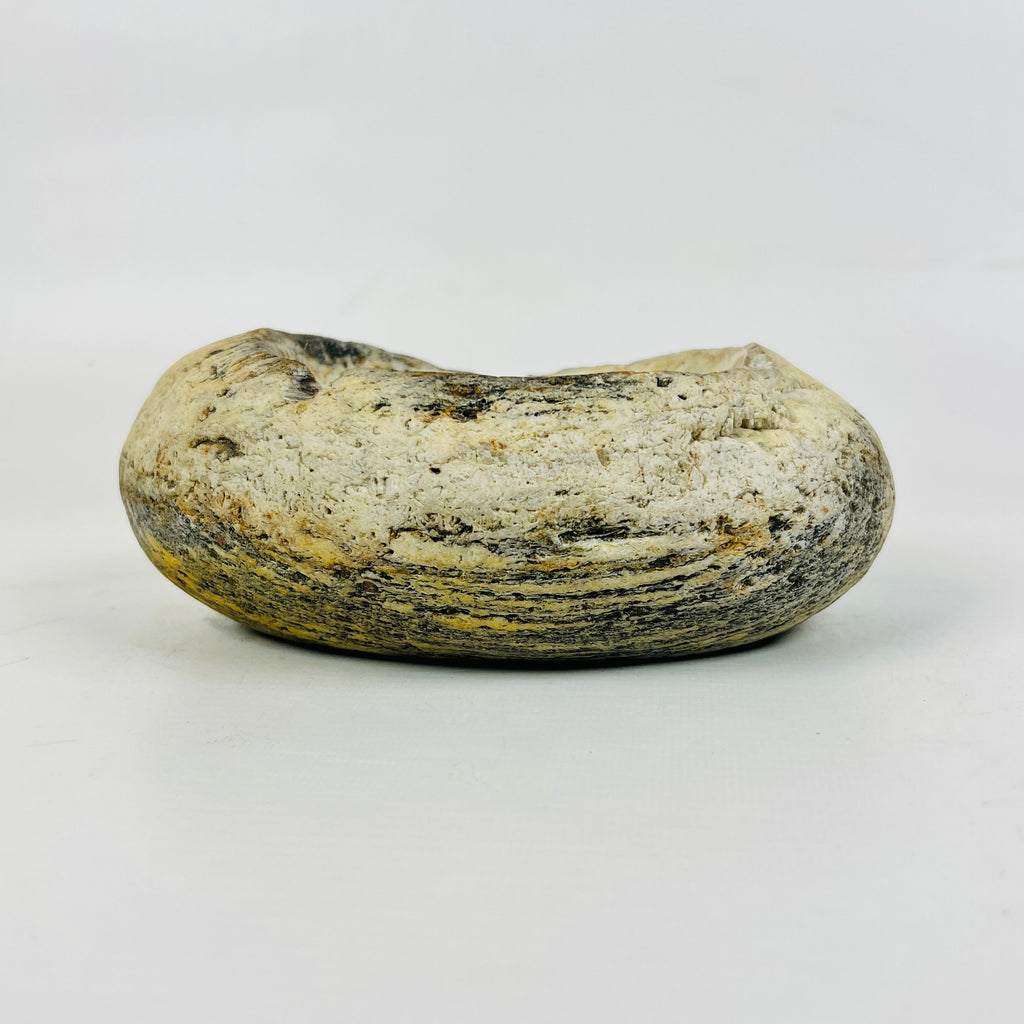 River Stone Brushed Ash Tray